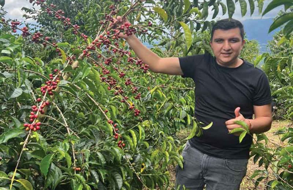 Coffee Of The Moment Subscription