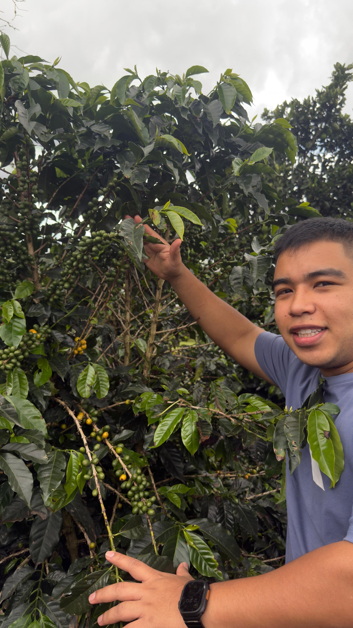 Coffee Of The Moment 22