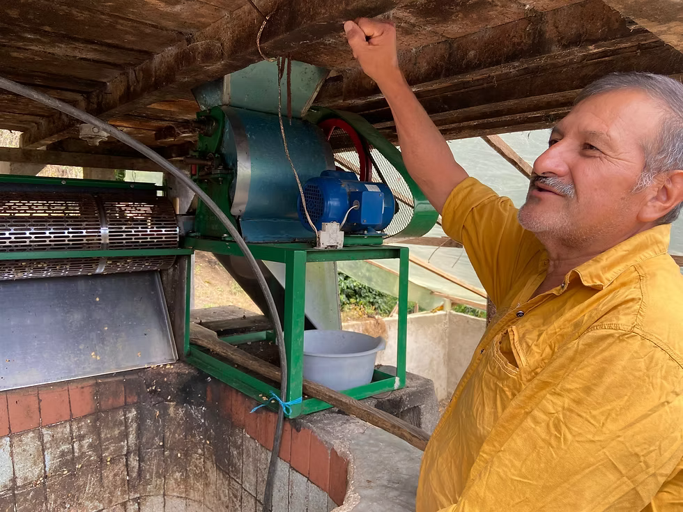 Coffee Of The Moment 29