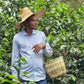 Supernatural (Abedo Abamecha - Ethiopian Heirloom Natural)