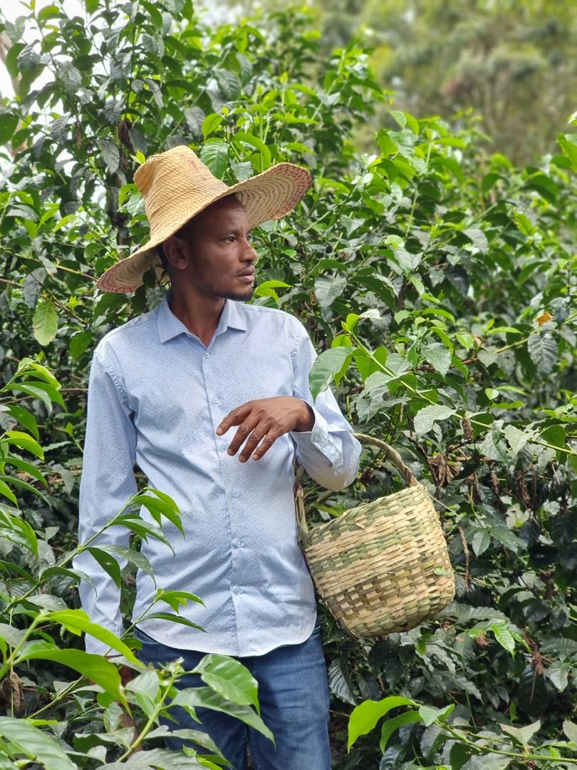 Supernatural (Abedo Abamecha - Ethiopian Heirloom Natural)