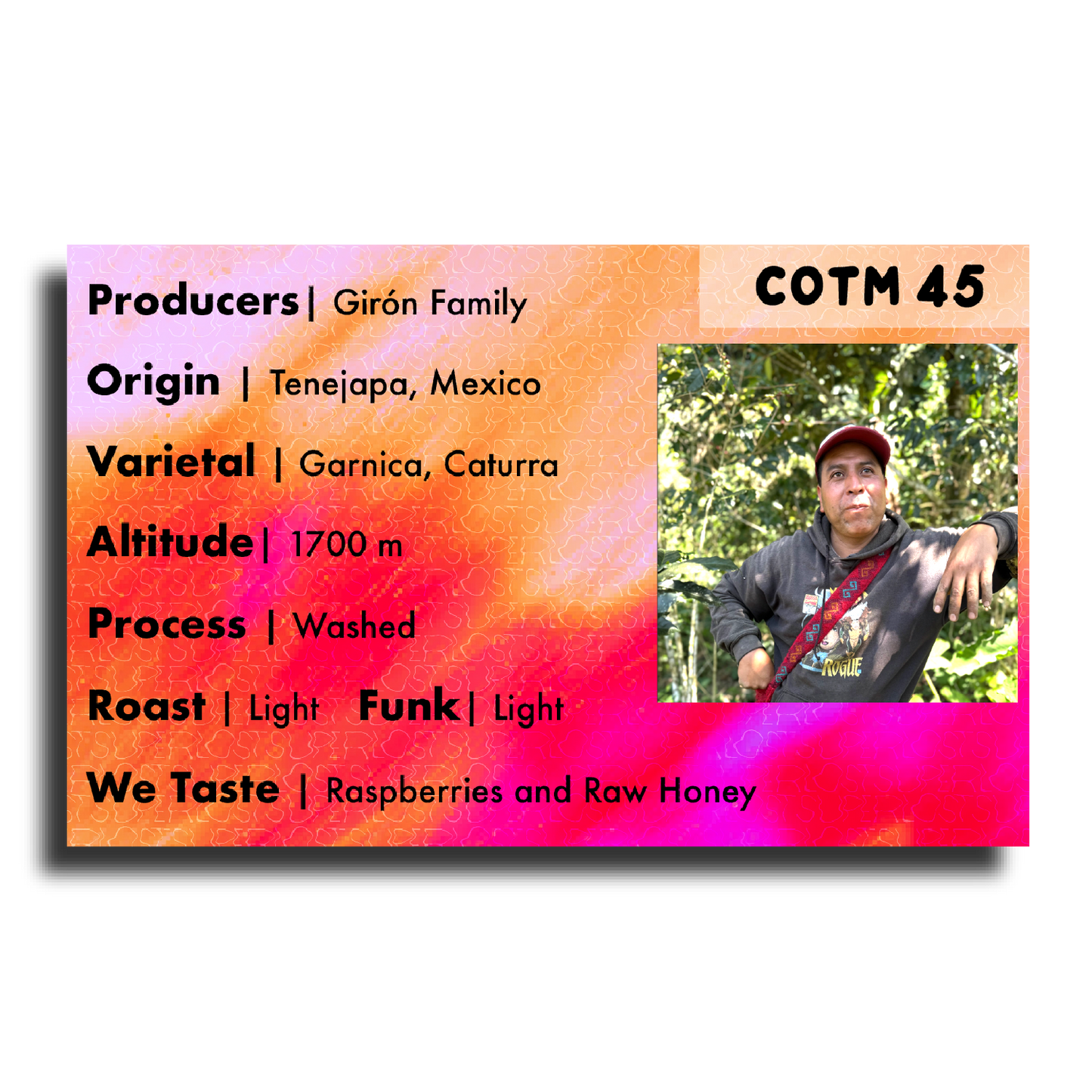 Coffee Of The Moment 45 (Girón Family | Washed Mexico Garnica)