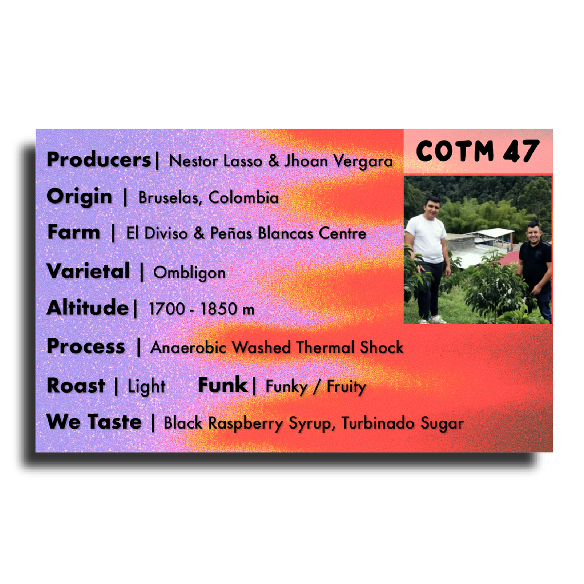 Coffee Of The Moment 47 (Nestor Lasso & Jhoan Vergara| Ombligon Anaerobic Washed Thermal Shock)