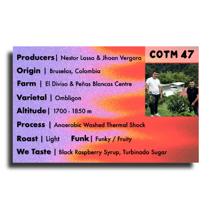 Coffee Of The Moment 47 (Nestor Lasso & Jhoan Vergara| Ombligon Anaerobic Washed Thermal Shock)