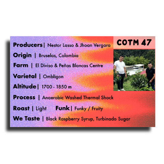 Coffee Of The Moment 47 (Nestor Lasso & Jhoan Vergara| Ombligon Anaerobic Washed Thermal Shock)