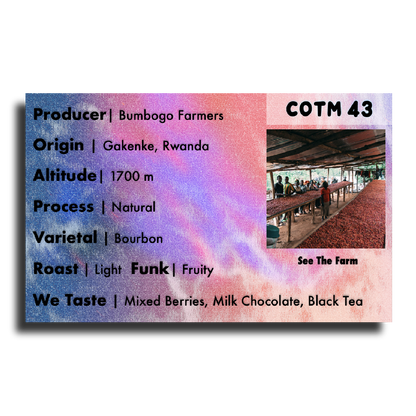 Coffee Of The Moment 43 (Bumbogo Farmers | Rwandan Bourbon Natural)