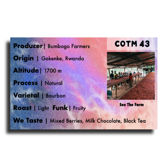 Coffee Of The Moment 43 (Bumbogo Farmers | Rwandan Bourbon Natural)
