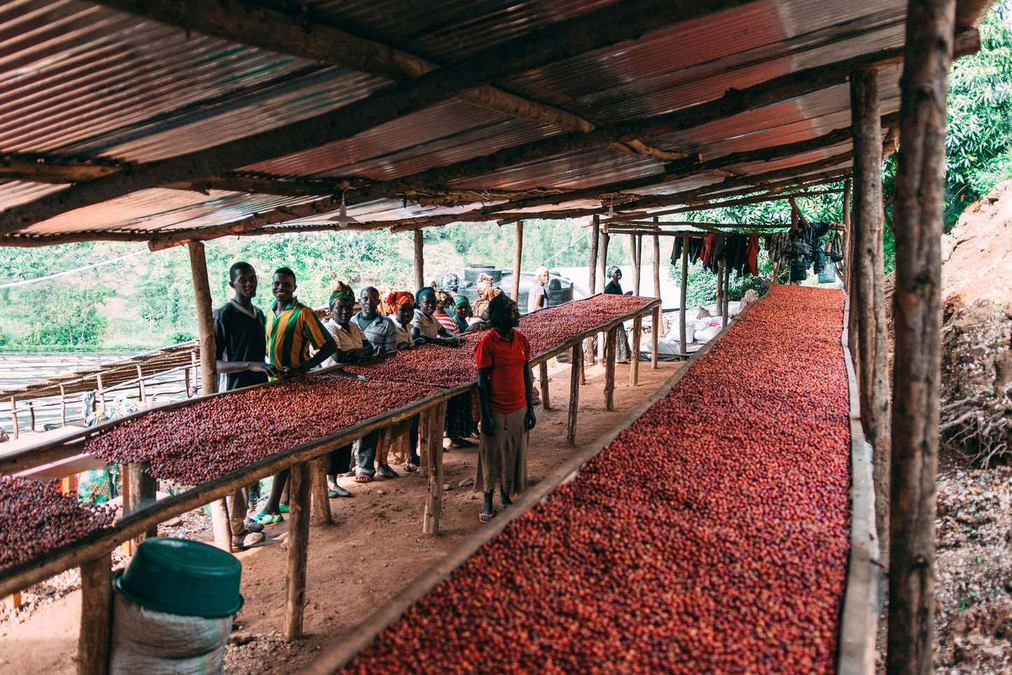 Coffee Of The Moment 43 (Bumbogo Farmers | Rwandan Bourbon Natural)