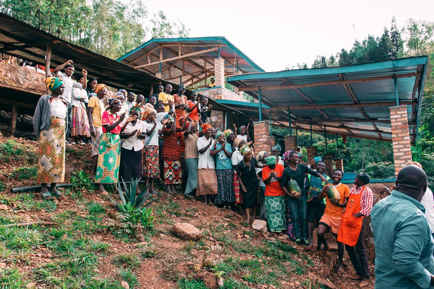 Coffee Of The Moment 43 (Bumbogo Farmers | Rwandan Bourbon Natural)