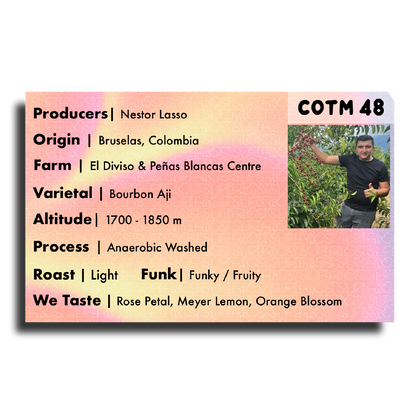 Coffee Of The Moment 48 (Nestor Lasso | Bourbon Aji Anaerobic Washed)