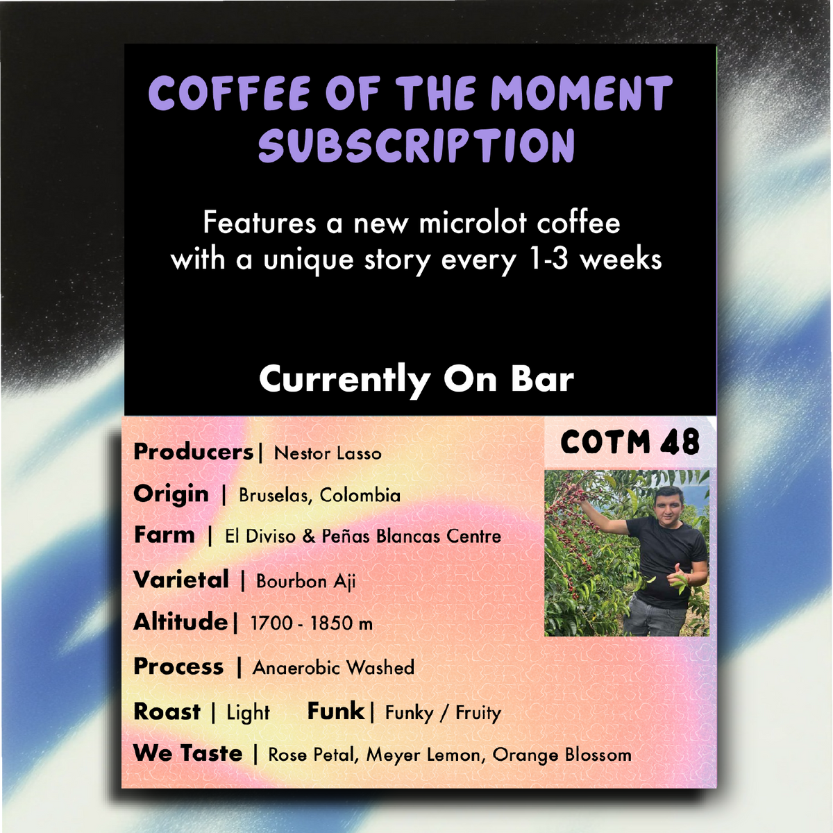 Coffee Of The Moment Subscription