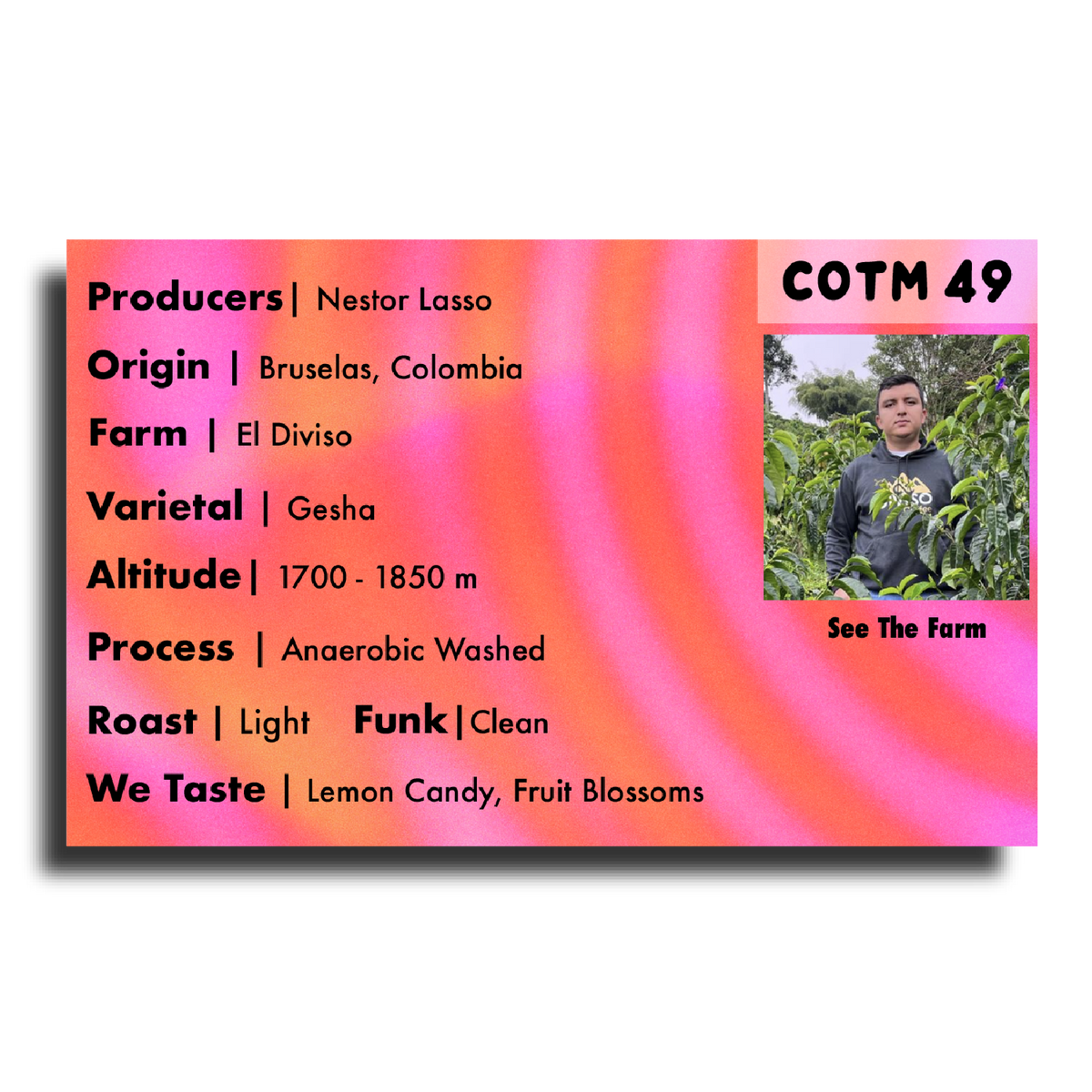 Coffee Of The Moment 49 (Nestor Lasso | Anaerobic Washed Gesha)