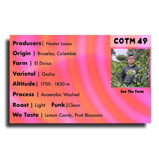Coffee Of The Moment 49 (Nestor Lasso | Anaerobic Washed Gesha)