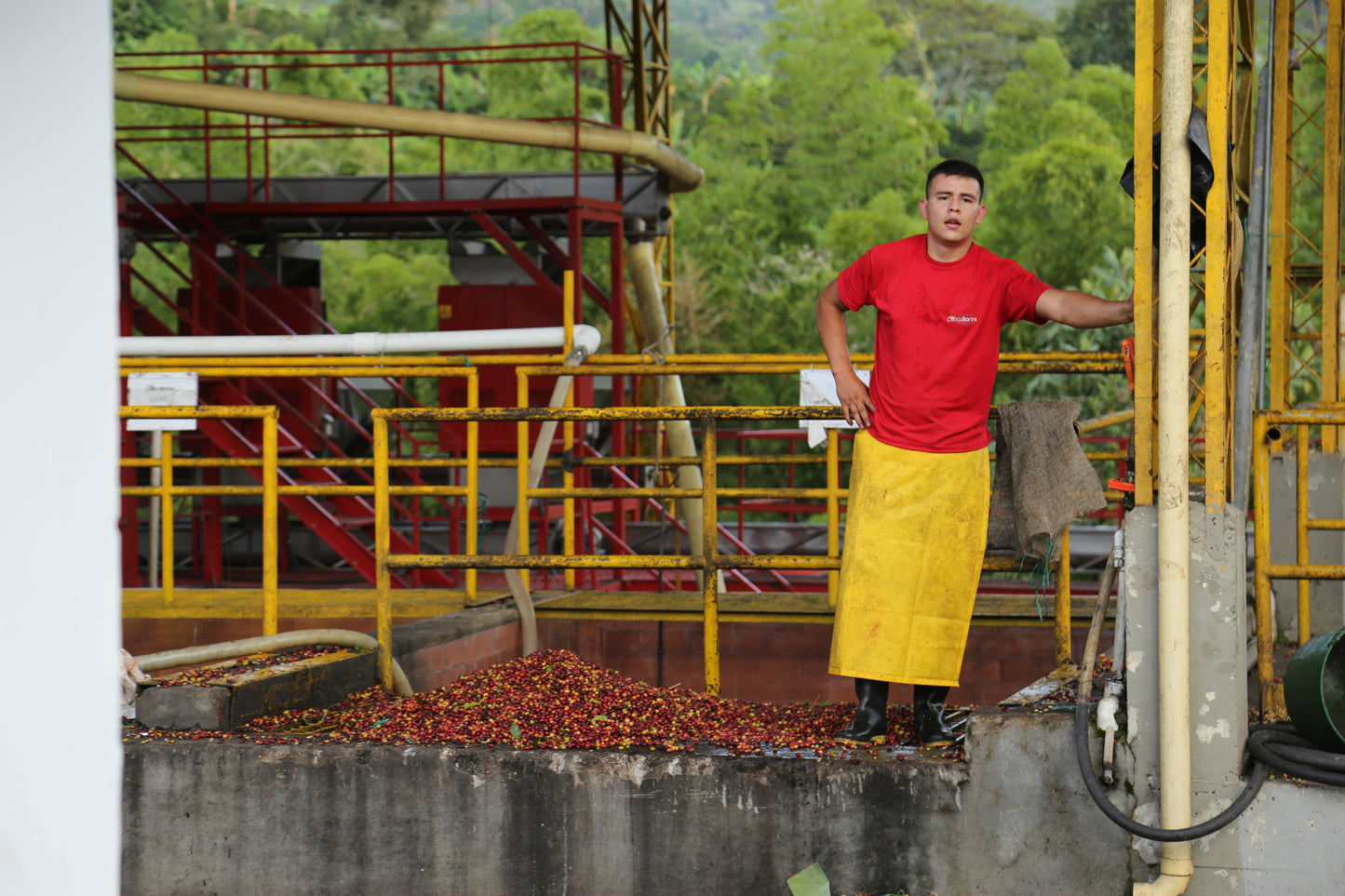 Supernatural (Finca Chapatà - 36 Hour Aerobic Natural)