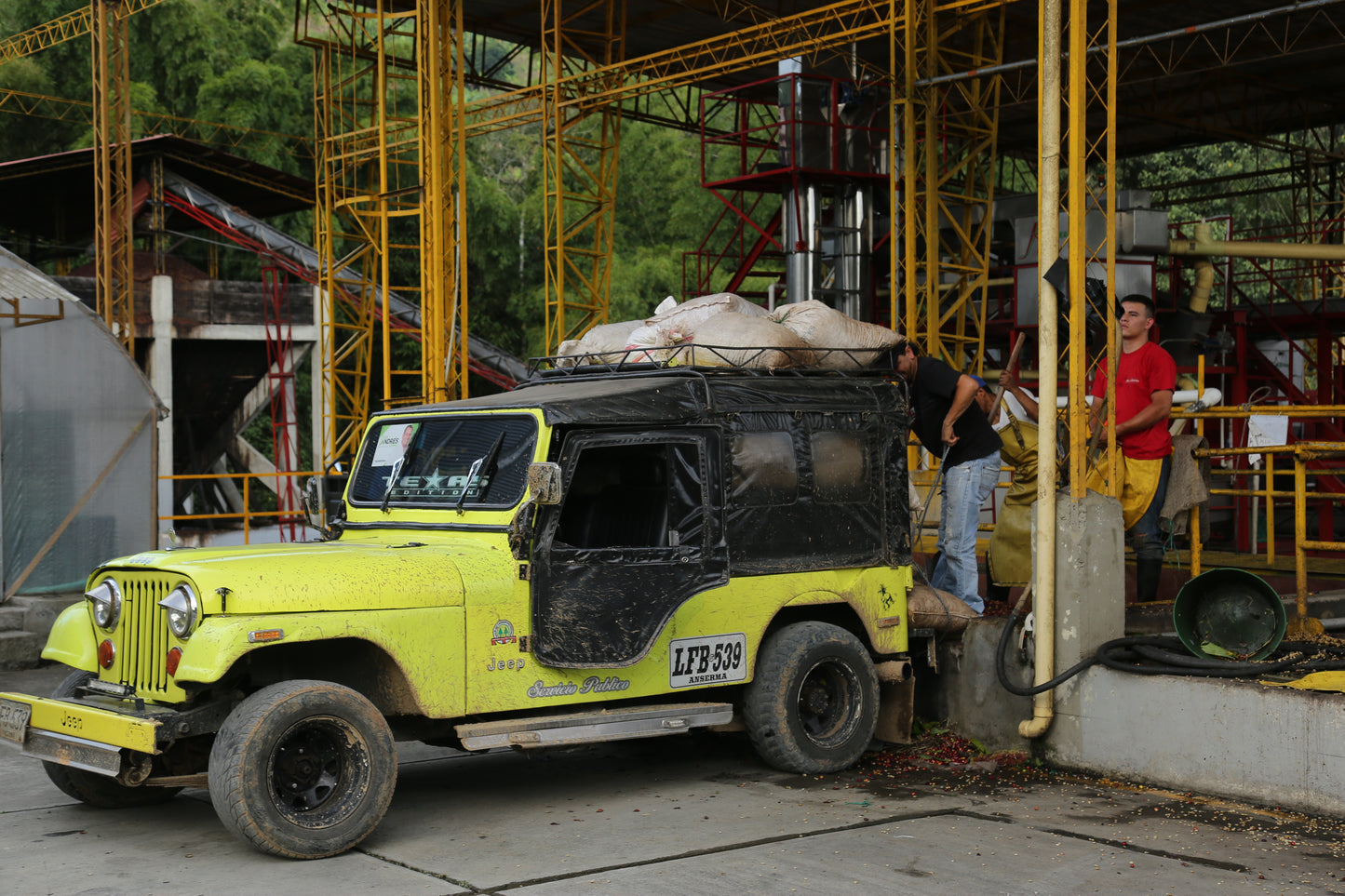 Supernatural (Finca Chapatà - 36 Hour Aerobic Natural)