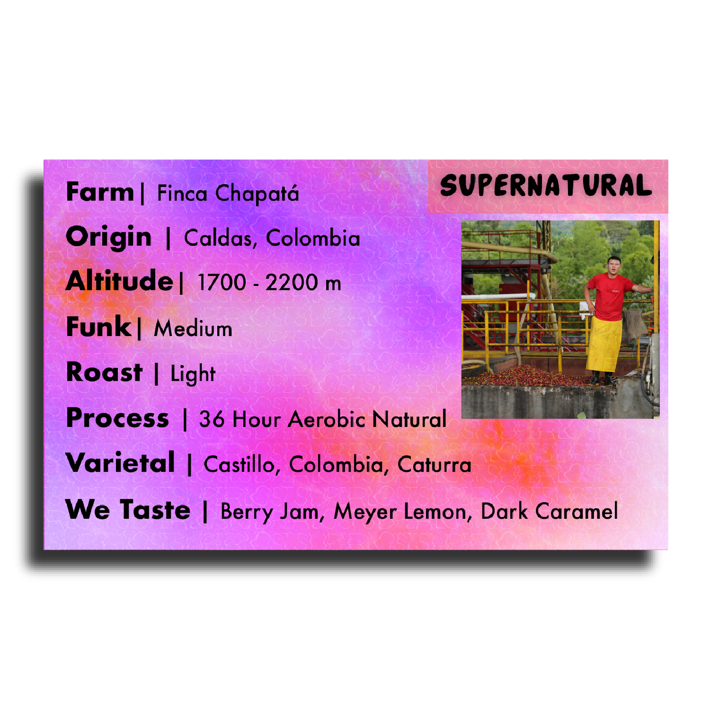 Supernatural (Finca Chapatà - 36 Hour Aerobic Natural)