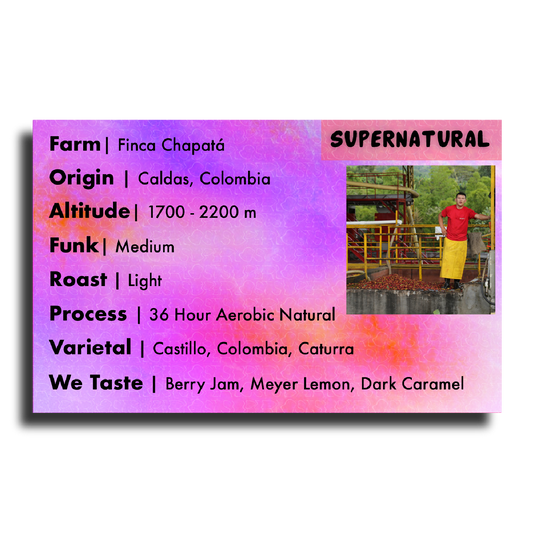 Supernatural (Finca Chapatà - 36 Hour Aerobic Natural)