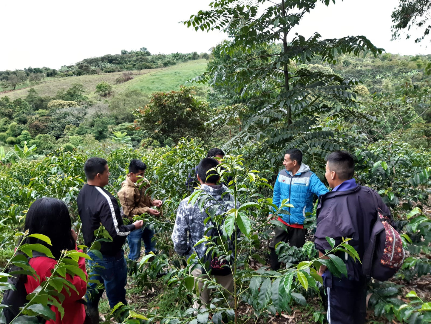 Coffee Of The Moment Subscription