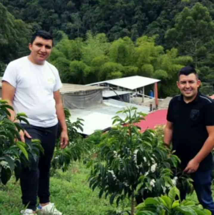 Coffee Of The Moment 47 (Nestor Lasso & Jhoan Vergara| Ombligon Anaerobic Washed Thermal Shock)