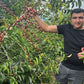 Coffee Of The Moment 48 (Nestor Lasso | Bourbon Aji Anaerobic Washed)