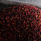Coffee Of The Moment 42 (Pedro Sagastume | Los Quetzales Gesha)