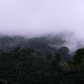 Coffee Of The Moment 42 (Pedro Sagastume | Los Quetzales Gesha)