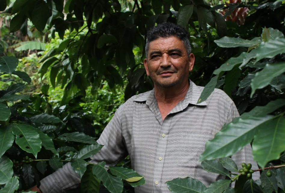 Coffee Of The Moment 42 (Pedro Sagastume | Los Quetzales Gesha)