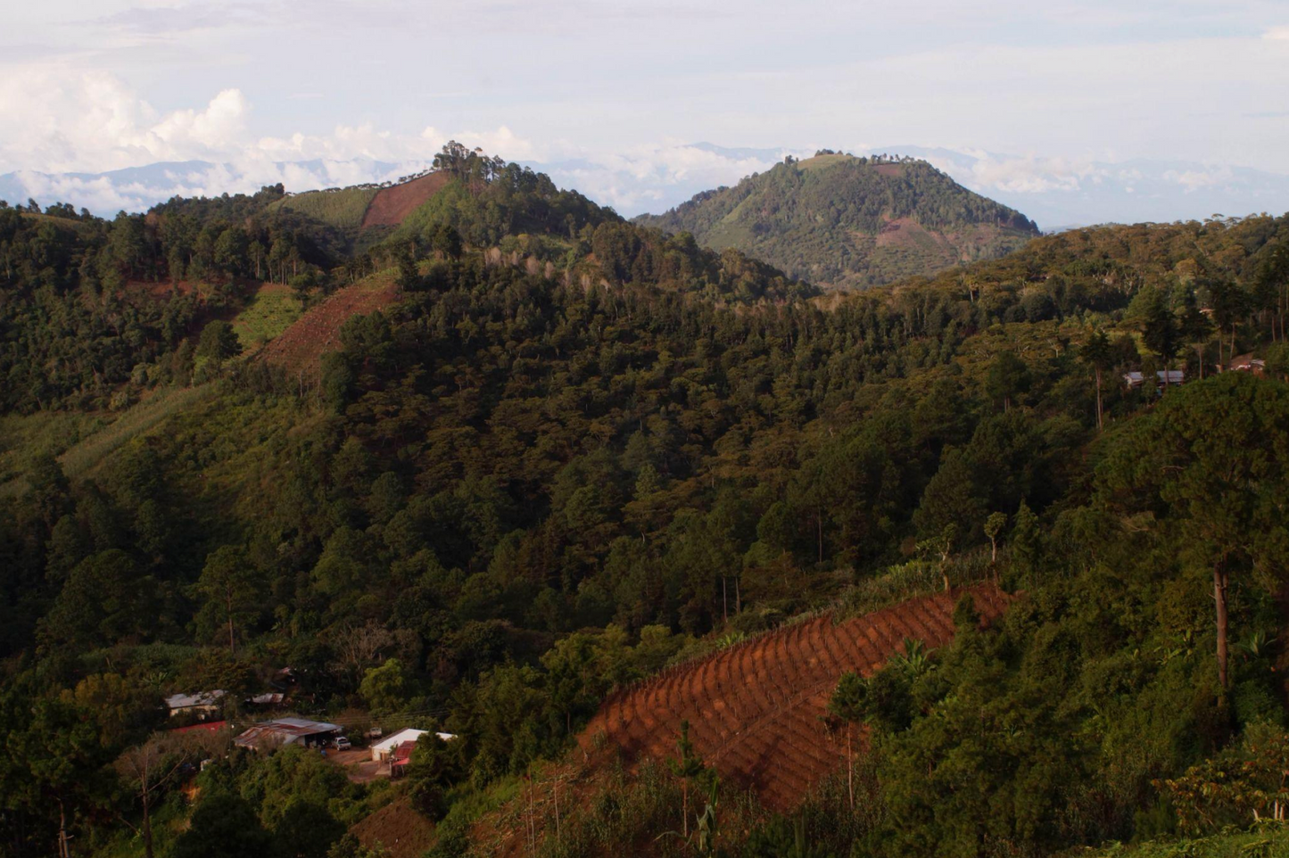 Coffee Of The Moment 27