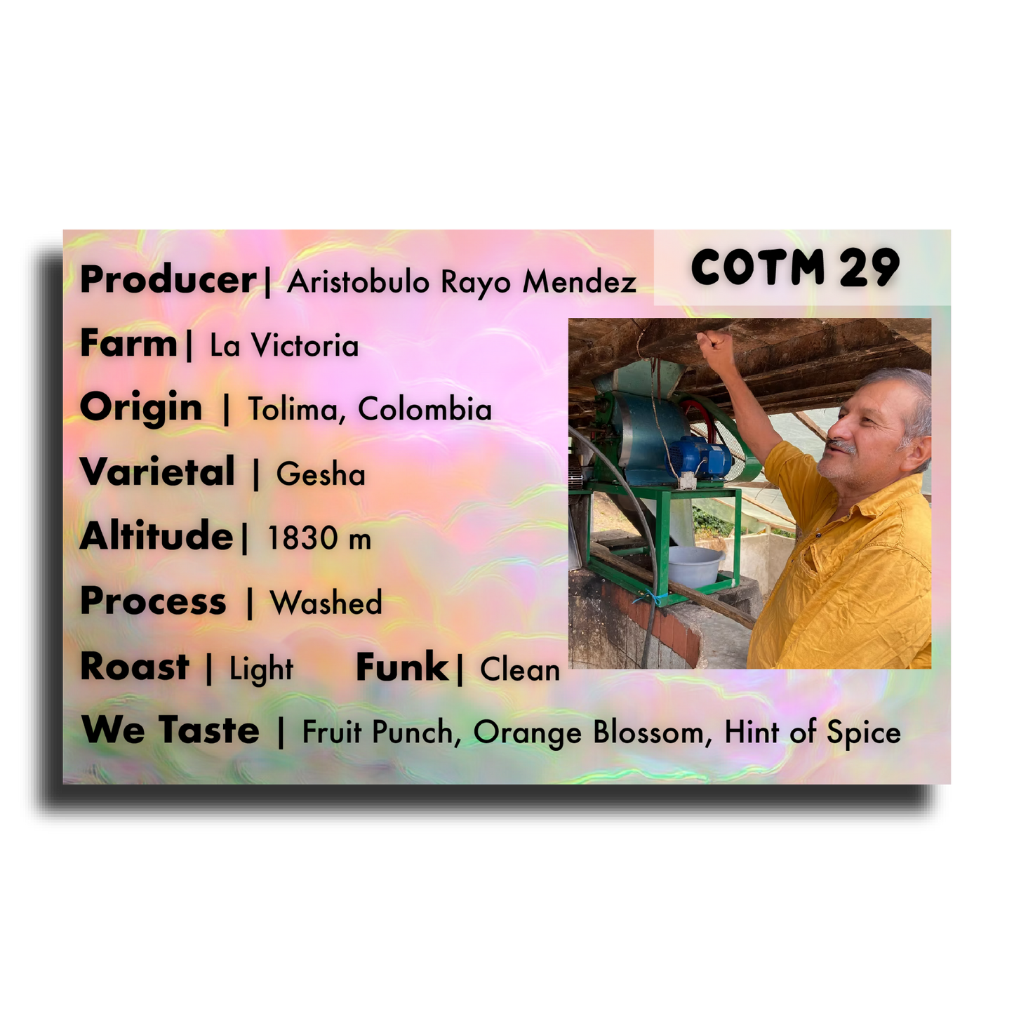 Coffee Of The Moment 29