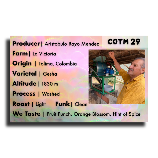 COTM 29 (Aristobulo Rayo Mendez | Gesha)