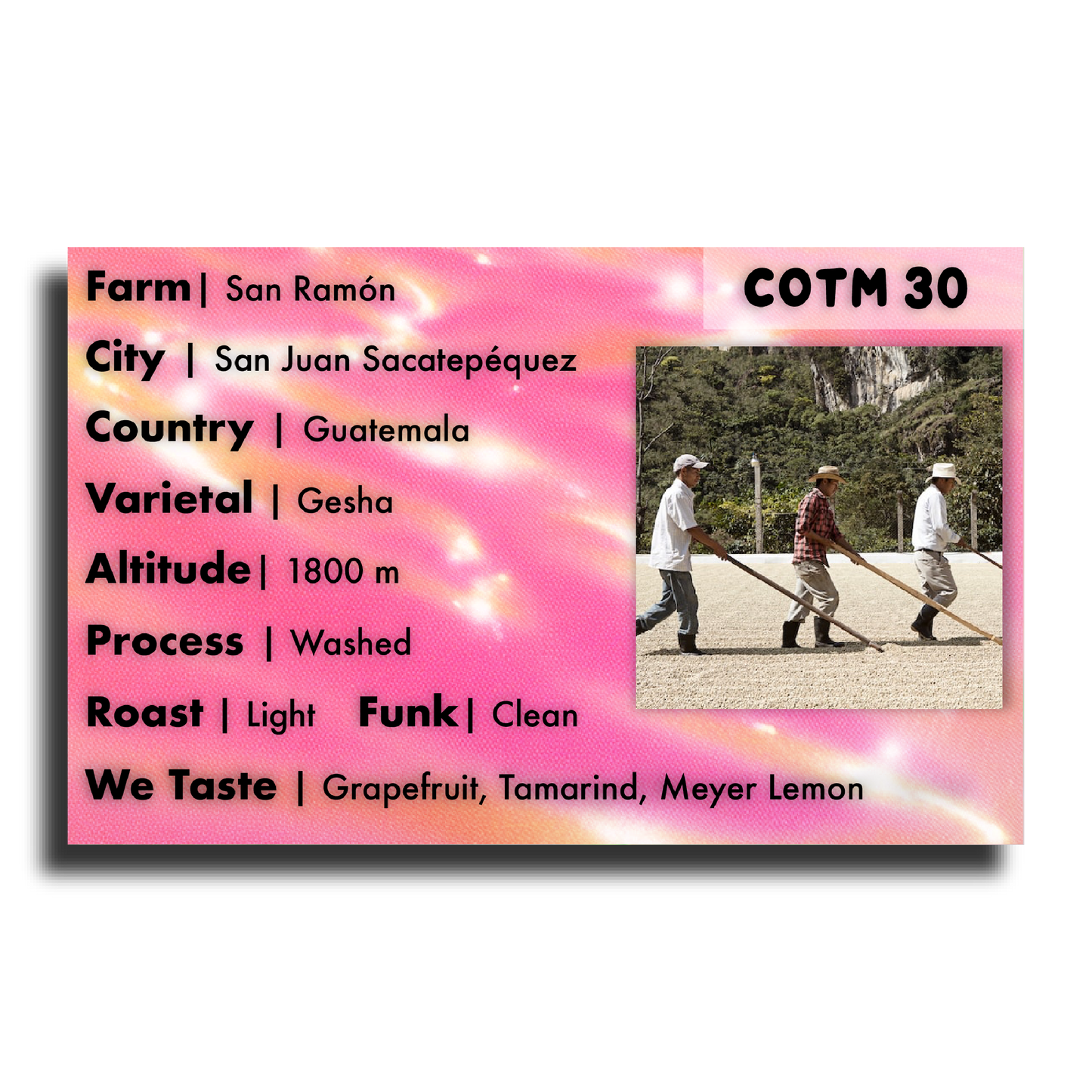 Coffee Of The Moment 30 (San Ramón | 3 Generation Guatemala Gesha)