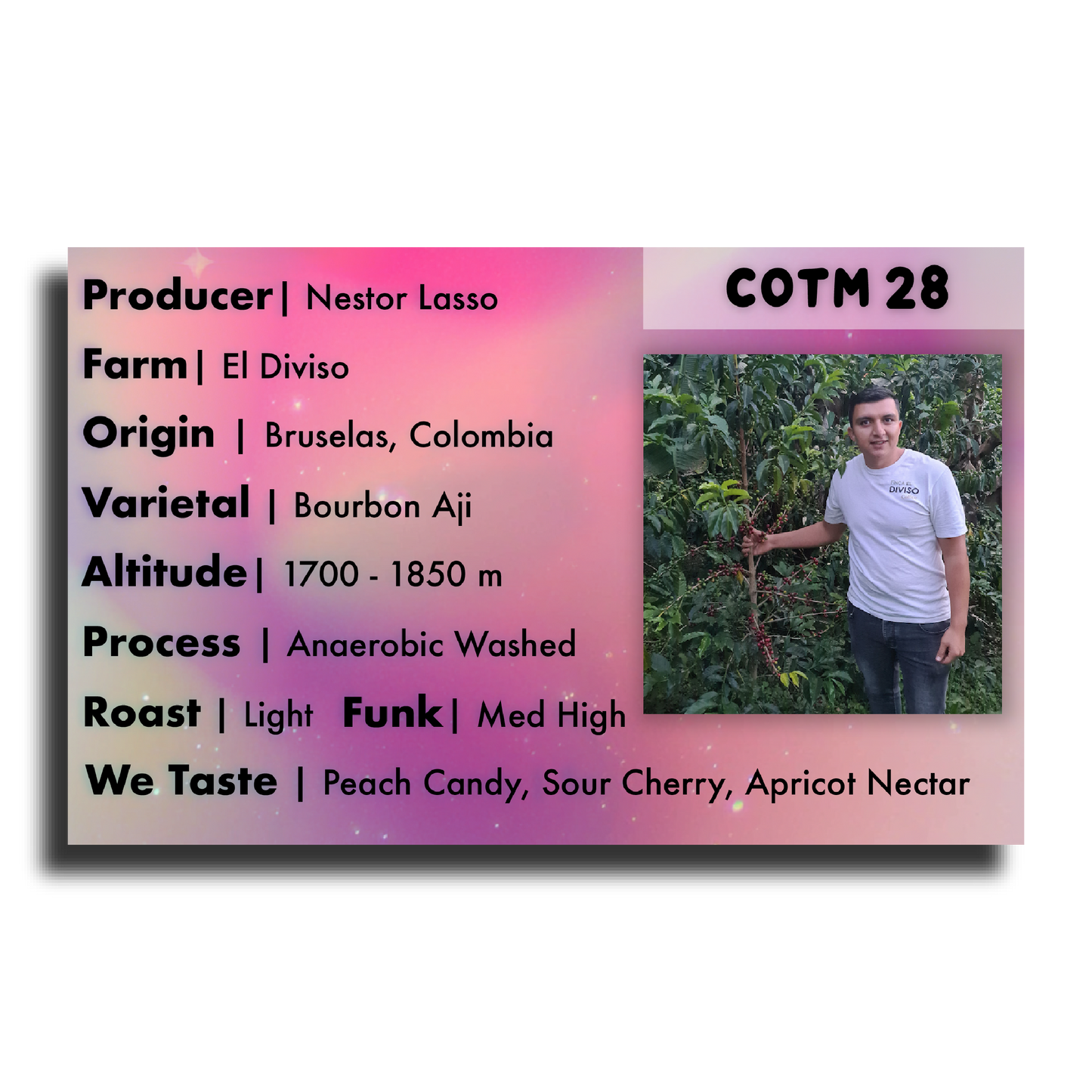 Coffee Of The Moment 28