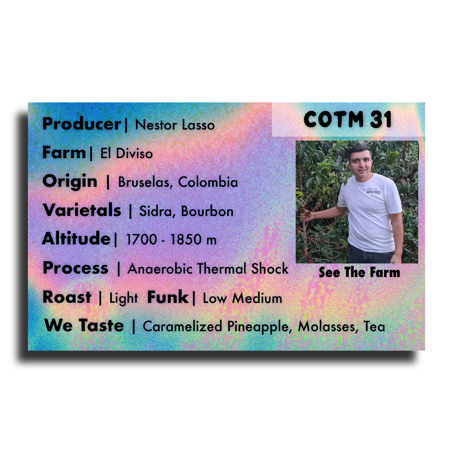 COTM 31 (Nestor Lasso | Anaerobic Washed Thermal Shock Sidra)