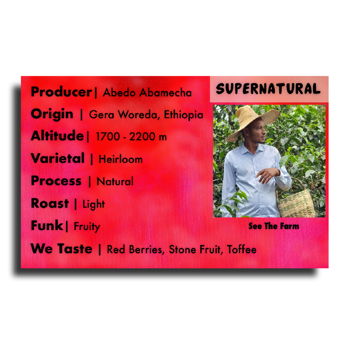 Supernatural (Abedo Abamecha - Ethiopian Heirloom Natural)