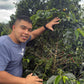Coffee Of The Moment 22