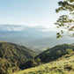 Coffee Of The Moment 46 (Yessica & Diego Parra | Natural Process Gesha)