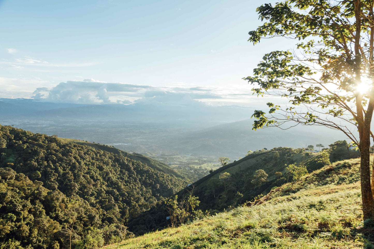 Coffee Of The Moment 46 (Yessica & Diego Parra | Natural Process Gesha)