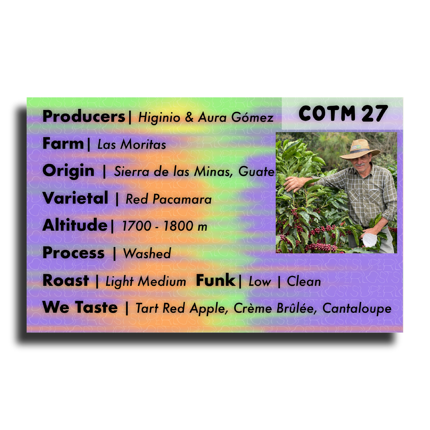 Coffee Of The Moment 27