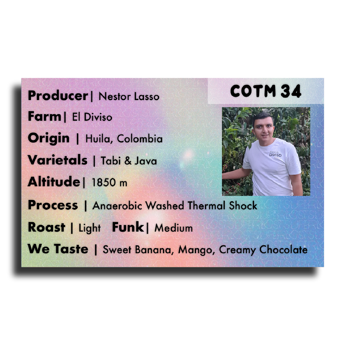 COTM 34 (Nestor Lasso | Anaerobic Thermal Shock)