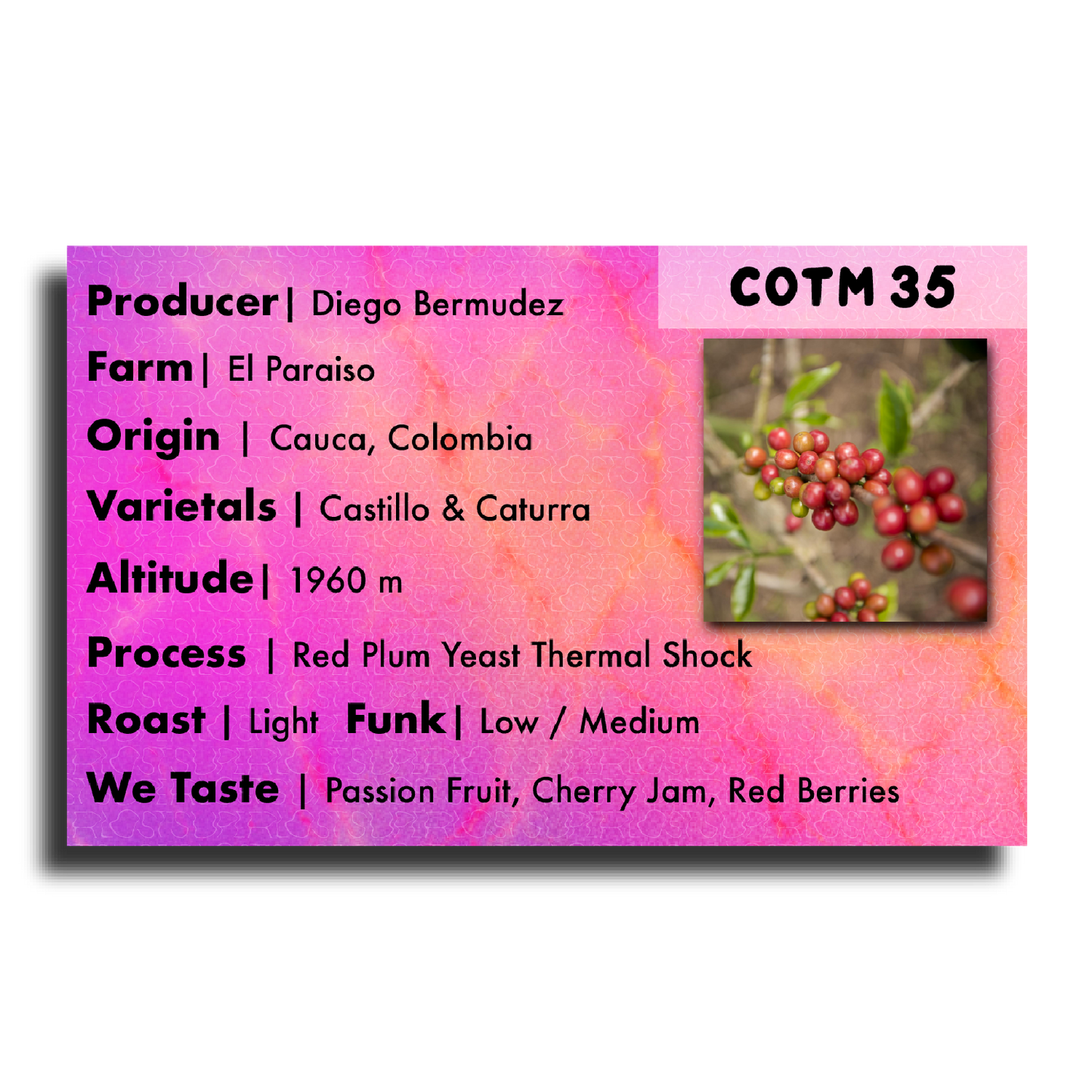 COTM 35 (Diego Bermudez | Red Plum Yeast Thermal Shock)