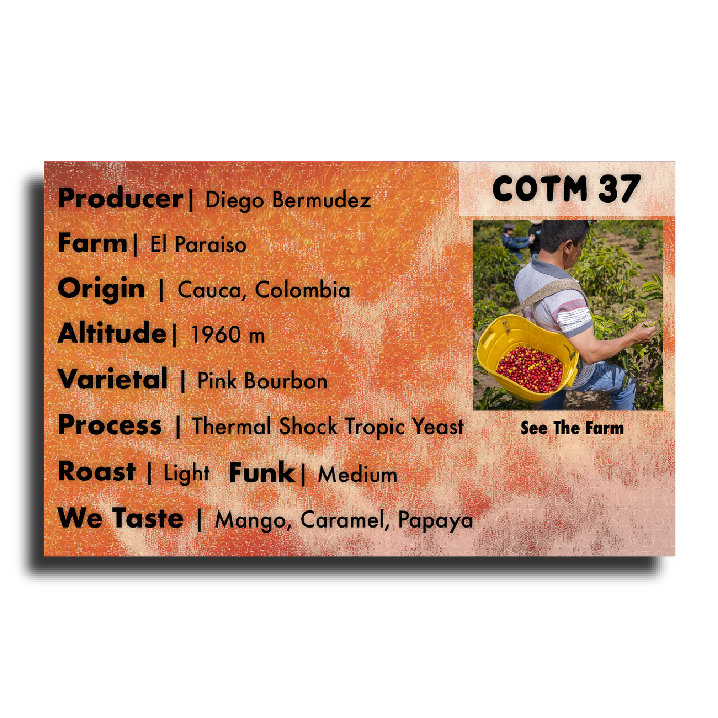 COTM 37 (Diego Bermudez | Thermal Shock Tropical Yeast Pink Bourbon