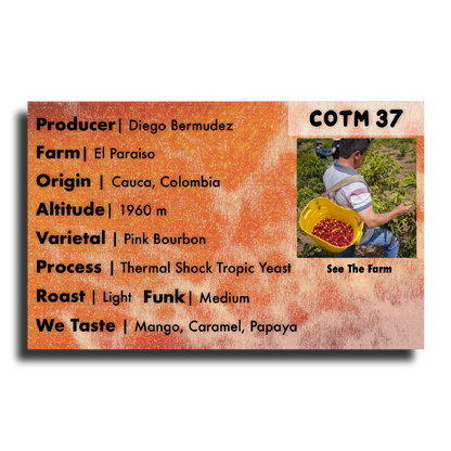 COTM 37 (Diego Bermudez | Thermal Shock Tropical Yeast Pink Bourbon
