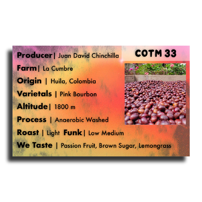 COTM 33 (Juan David Chinchilla | Anaerobic Pink Bourbon)