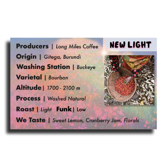New Light (Long Miles Coffee - Burundi Washed Natural Bourbon)