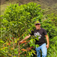 Coffee Of The Moment 47 (Nestor Lasso & Jhoan Vergara| Ombligon Anaerobic Washed Thermal Shock)