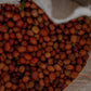 Solo Sabado (Terra Coffee |  Microlot Semi-Washed Caturra)