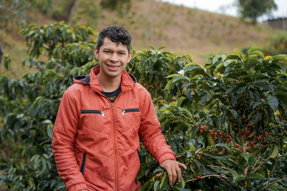 Solo Sabado (Terra Coffee |  Microlot Semi-Washed Caturra)