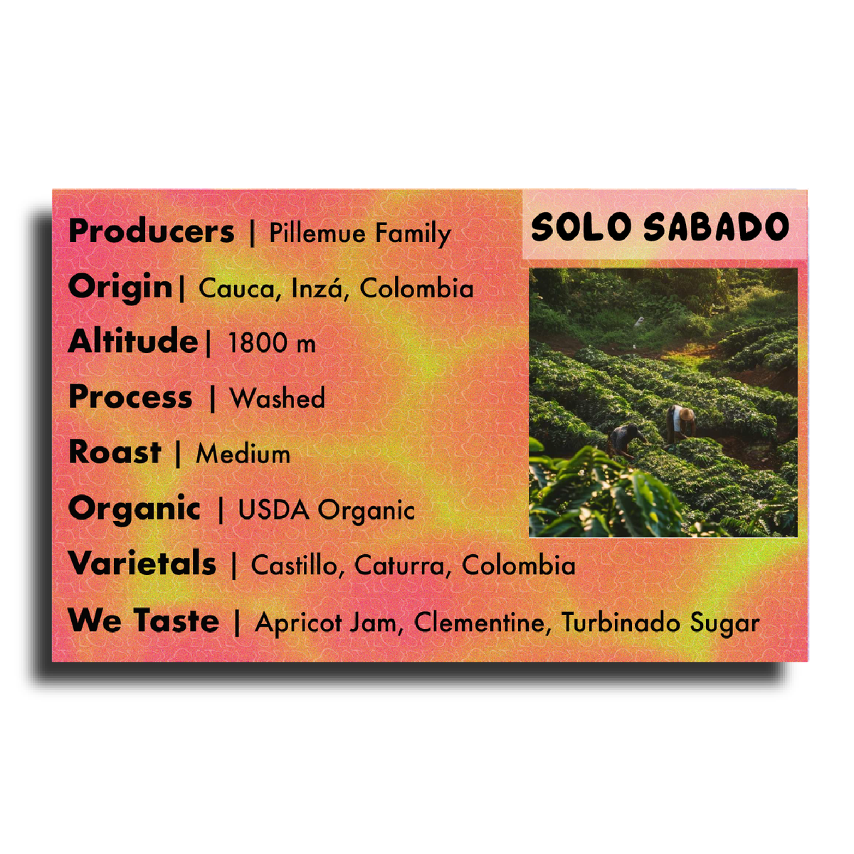 Solo Sabado (Pillemue Family - Perla de la Inzà - USDA Organic)